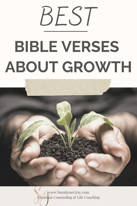 Bible Verse On Growth, Grow Bible Verse, Biblical Growth Mindset, Quotes About Spiritual Growth, Scripture About Growing In Faith, How To Grow In Your Faith, Scriptures About Growth, Bible Verse For Growth, Bible Verse Growth