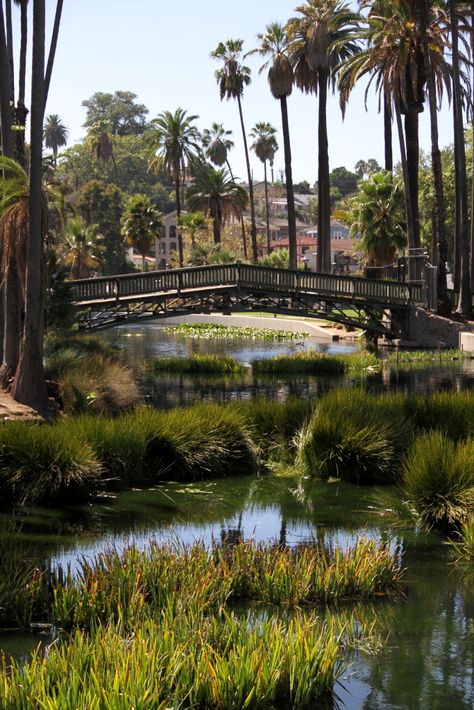 Echo Park Lake Bridge, Los Angeles, CA. I dreamt of this place once before I even know it existed.. Los Angeles Echo Park, Echo Park Lake Los Angeles, Los Angeles Nature, Lake Hollywood Park, Lake With Bridge, Lake Bridge, Echo Park Los Angeles, Echo Park Lake, Los Angeles Parks