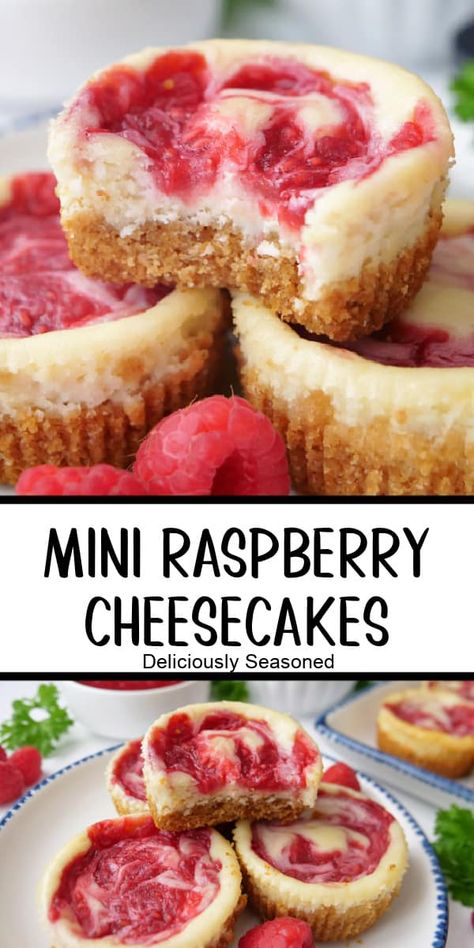 Raspberry Swirled Mini Cheesecakes, Raspberry Donut Cheesecake, Mini Cheesecakes In Mini Muffin Pan, Mini Raspberry Cheesecake Recipes, Mini Raspberry Cheesecake, Cheesecake Recipe Baked, Raspberry Cheesecakes, Mini No Bake Cheesecake, Lemon Raspberry Cheesecake