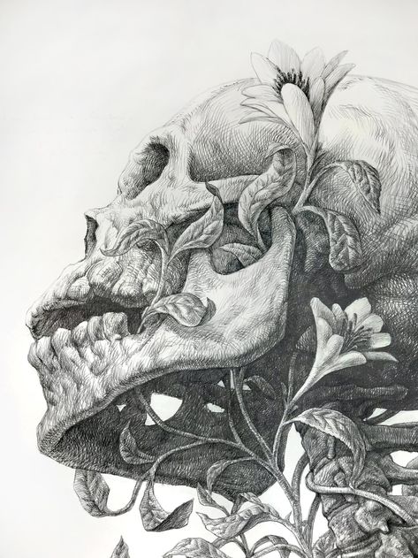 Vines and Flowers Intertwine with an Imposing Skeleton in an Elegant Graphite Drawing by Guno Park | Colossal Skull With Flowers, Arte Occulta, Skeleton Drawings, Skeleton Art, Desenho Tattoo, Skull Drawing, Arte Obscura, Human Skull, Graphite Drawings