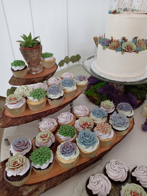 Succulent Wedding Cake And Cupcakes, Succulents At Wedding, Succulent Wedding Cupcakes, Succulent Wedding Cake, Succulent Wedding Cakes, Nature Cake, Garden Cupcakes, Succulent Theme, Succulent Cupcakes