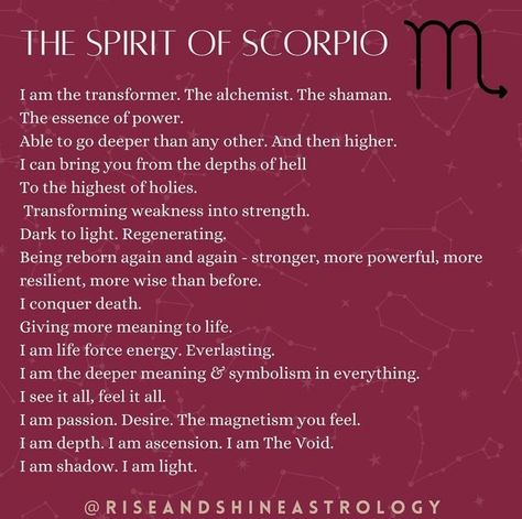 Sun In Scorpio Astrology, Scorpio Transformation, Scorpio Goddess, Scorpio Healing, Scorpion Zodiac, Scorpio Energy, Scorpion Pose, Sun In Scorpio, Scorpio Astrology