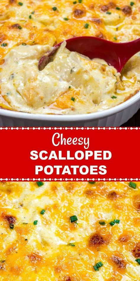 Christmas Food Ideas For Dinner, Easy Cheesy Scalloped Potatoes, Cheesy Scalloped Potatoes Recipe, Scalloped Potatoes Easy, Cheesy Scalloped Potatoes, Scalloped Potatoes And Ham, Thanksgiving Side Dishes Easy, Scalloped Potatoes Cheesy, Scalloped Potato Recipes