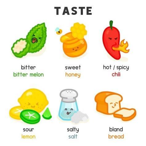 Taste Vocabulary English, Taste Words, Food In English For Kids, Vocabulary For Kids English, English Chart Ideas, How To Teach English To Kids, Food Vocabulary English, Taste Vocabulary, Learn English For Kids Teaching Ideas