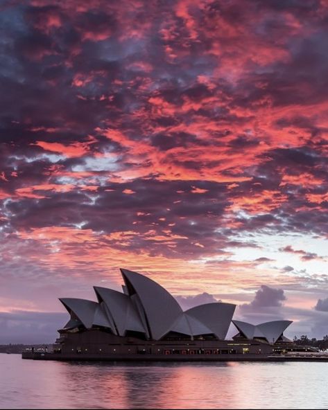 Australia Opera House, Australia Restaurant, Sidney Australia, Sydney Fashion, Australia Tourism, Seven Hills, Restaurant Guide, Bucket Lists, Pink Art