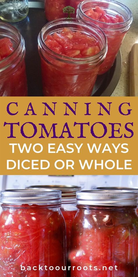 Canning Pantry, Canned Tomato Recipes, Salsa Canning Recipes, Canning Tomatoes Recipes, Tomato Harvest, Easy Canning, Can Food, Pressure Canning Recipes, Canning Fruit