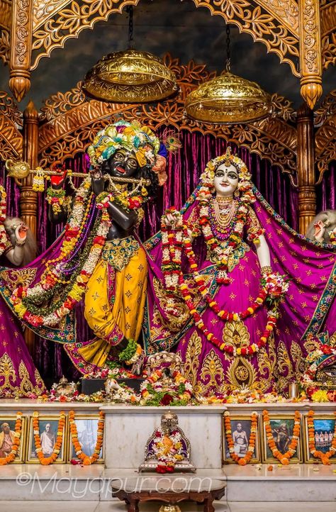 Iscon Temple Radha Krishna, Radhe Krishna Photo, Jai Shree Radhe Krishna, Vrindavan Photography Pictures, Radha Krishna Holi, Iskcon Krishna, Album Cover Wallpaper Collage, Krishna Hindu, Shree Radhe