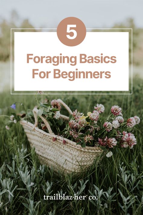 Embrace nature's offerings with '5 Foraging Basics for Beginners'. Whether you're strolling through meadows or hiking in the woods, Trailblazher Co. shows you how to forage responsibly and enjoy the simple pleasures of gathering wild, edible flowers. Foraging Guide, Medicinal Wild Plants, Wild Lettuce, Wild Foraging, Wild Onions, Herbal Medicine Recipes, Wild Food Foraging, Edible Wild Plants, Foraged Food