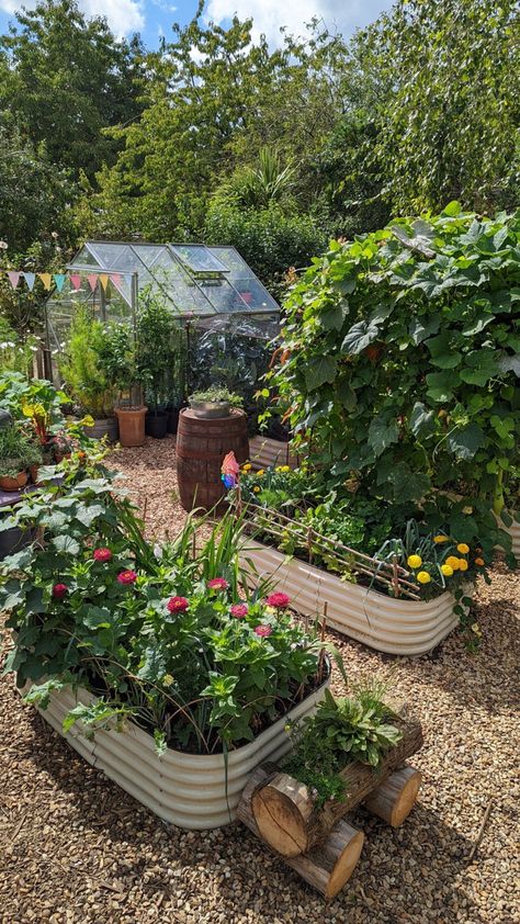 Veg Garden, Vegetable Garden Design, Plants And Flowers, Garden Layout, Veggie Garden, Garden Cottage, Farm Gardens, Dream Garden, Small Garden