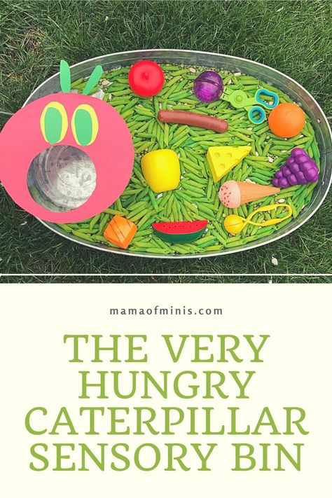 Hungry Caterpillar Sensory Bin Bug Themed Sensory Bin, Sensory Theme Preschool, Caterpillar Preschool Theme, Insect Sensory Table, Sensory Table Ideas For Preschool Spring, Preschool Hungry Caterpillar Theme, The Hungry Caterpillar Sensory Bin, The Very Hungry Caterpillar Sensory Play, Art Sensory Bin Preschool