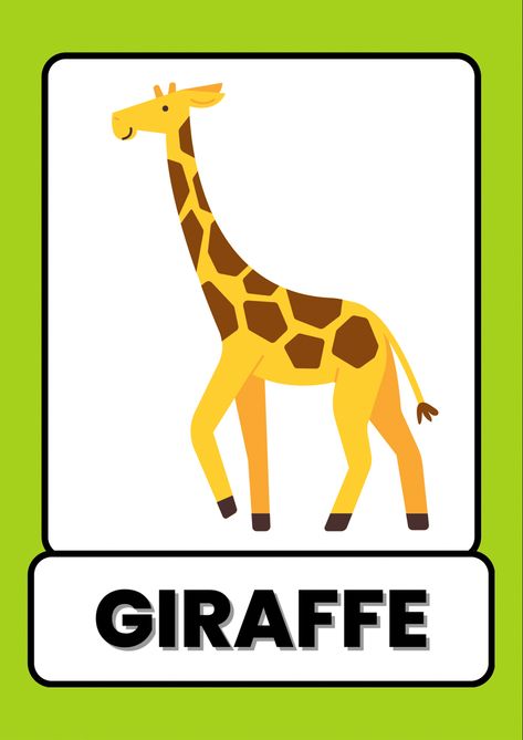 animals flash card, animals flash cards, farm animals flash card, animals flash cards pdf, wild animals flashcards, zoo animal flashcards, animals flashcards pdf, animals flashcards printable, animals flashcards free printable, flashcards of animals, flash cards or flashcards Wild Animals Flashcards, Animals Flashcards For Kids, Aktiviti Prasekolah, Kids Learning Alphabet, Nursery Worksheets, Different Types Of Animals, Animals Jungle, Animal Flashcards, Dancing Drawings