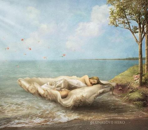 slumber Aphrodite Painting, Aphrodite Art, Venus Painting, Aphrodite Goddess, Seashell Painting, Fell Asleep, Cave Paintings, Pre Raphaelite, Greek Art