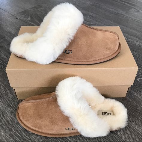 New Ugg Scuffette Ll Slippers Size Various Color Chestnut Suede Upper Uggpure Wool Lining And Insole Rubber Outsole Sz Tag Are Marked With Red To Prevent Store Returns Ugg Slippers Scuffette, Cute Uggs Aesthetic, Fluffy Ugg Slides Outfits, Uggs Scuffette Outfit, Uggs Cute, Women’s Slippers, Ugg Scuffette Slippers Outfit, Ugg Coquette Slippers Outfit, Aesthetic Uggs