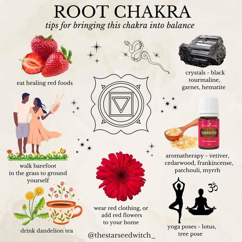 Chakra Guide, The Root Chakra, Subtle Bodies, Chakra Healing Meditation, Chakra Health, Root Chakra Healing, Dandelion Tea, Chakra Activation, Chakra Balance