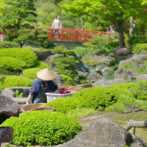 Visit Japan: Yuushien Garden, located in Shimane Prefecture in western Japan, is a massive ga...    #Visitjapan, #Visitjapanus, #Beauty, #Flowers, #Japan, #Shimane, #VisitJapan, #Yushien, #Yuushien    https://www.alojapan.com/56710/visit-japan-yuushien-garden-located-in-shimane-prefecture-in-western-japan-is-a-massive-ga/    . Japan 2023, Shimane, Beauty Flowers, Visit Japan, Garden Features, Tea House, Garden Bridge, Outdoor Structures, Japan