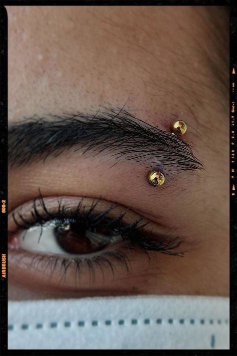 Gold Eyebrow Piercing, Eyebrows Piercing, Eyebrow Piercing Girl, Eyebrow Piercing Men, Eyebrow Piercing Jewelry, Piercing Girl, Lip Piercing Jewelry, Face Piercings, Pin Search