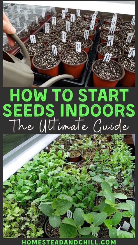 Kebun Herbal, Start Seeds Indoors, Taman Diy, Starting Seeds Indoors, Garden Hacks, Gardening 101, Starting A Garden, Garden Types, Home Vegetable Garden