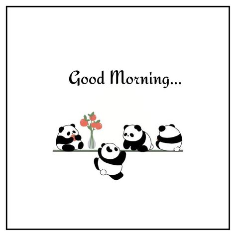 Picture Good Morning, Hi Good Morning, Cute Good Morning Pictures, Sweet Good Morning Images, Good Morning Clips, Good Morning Love Gif, Happy Day Quotes, Good Morning Coffee Images, Daily Greetings