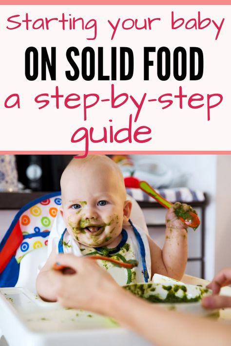 Starting Solids Schedule, Feeding Baby Solids, Starting Solids Baby, Starting Solid Foods, 6 Month Baby Food, Baby Solid Food, Baby Led Feeding, First Foods, Baby Feeding Schedule