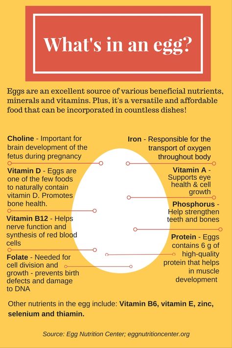 Egg Poster, Egg Facts, Egg Nutrition, Egg Benefits, Cooking Substitutions, Best Detox, Healthy Benefits, Health Knowledge, Brain Development