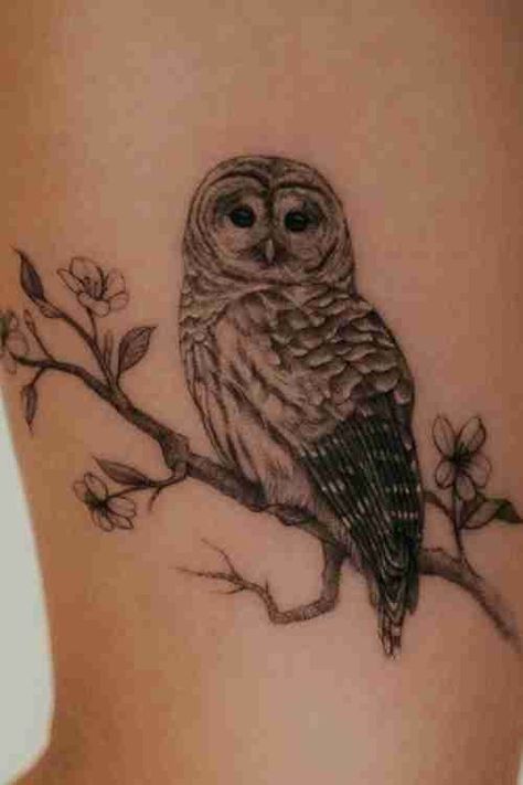 Barred Owl Tattoo, Owl Tattoo Ideas, Owl Tattoo Meaning, Owl Tattoo Small, Owl Symbolism, Snow Tattoo, Cute Owl Tattoo, Around Arm Tattoo, Cool Shoulder Tattoos