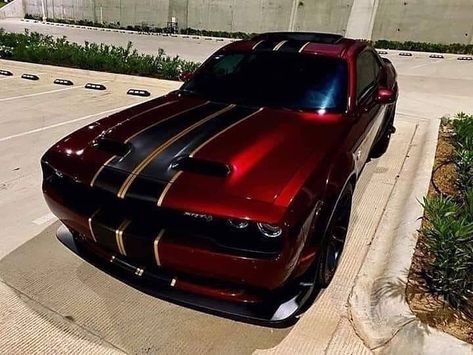 That Red wine color !!! Mobil Off Road, Kereta Sport, Carros Lamborghini, Car Paint Jobs, Modern Muscle Cars, Custom Cars Paint, Dodge Muscle Cars, Dodge Challenger Srt, Custom Muscle Cars