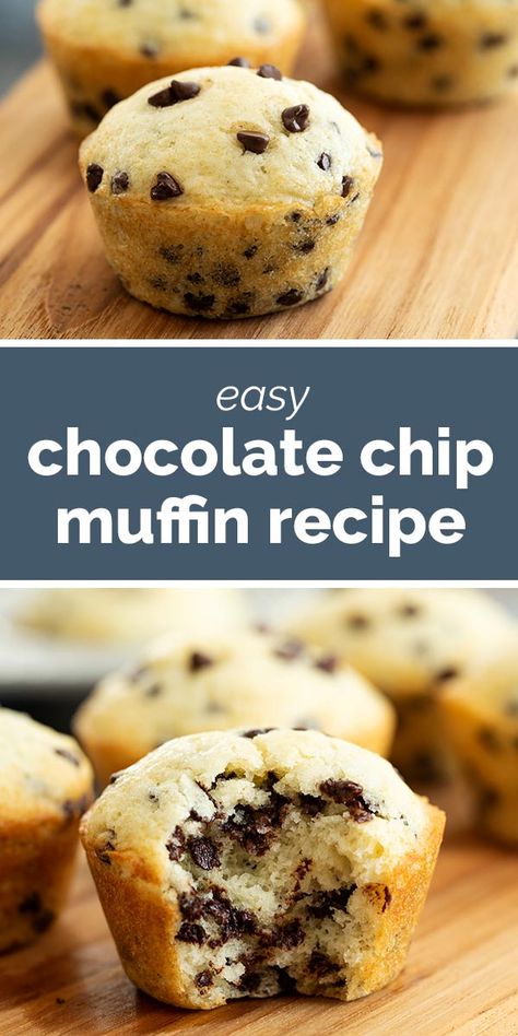 Start your morning off on a sweet note with this simple Chocolate Chip Muffin Recipe. These muffins take minutes to whip up the batter so you can have a sweet treat on the table in no time. #recipe #muffin #chocolate #baking #breakfast Tasty Recipes For Dessert, Easy Chocolate Chip Muffin Recipe, Easy Muffin Recipes, Basic Muffin, Best Chocolate Chip Muffins, Chocolate Chip Muffins Easy, Chocolate Chip Muffin, Baking Breakfast, Easy Chocolate Desserts