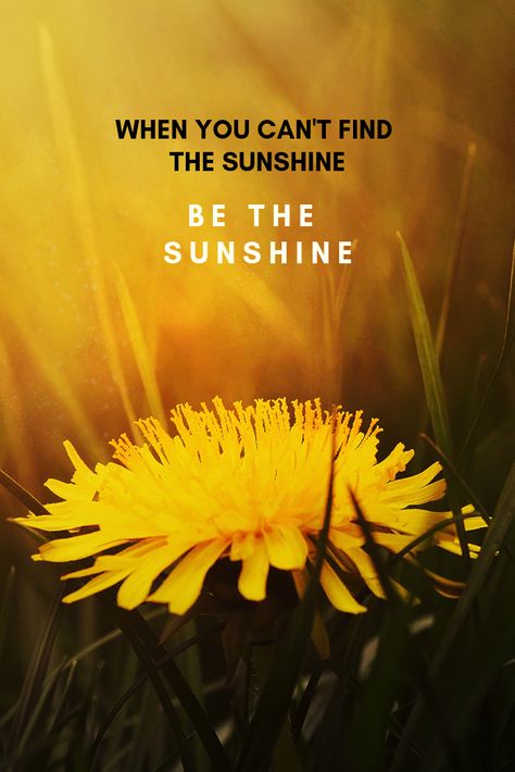 77 Positive Quotes That'll Change Your Life // "When you can't find the sunshine, be the sunshine"  // Click through to read more positive quotes // PIN FOR LATER // #quotes #upliftingquotes #positivequotes #inspiringquotes #motivationalquotes #motivation via @lusttilldawn When You Cant Find The Sunshine, Be The Sunshine Quotes, Happy Quotes Positive Good Vibes Motivation, Find Happiness Quotes, Positive Vibes Quotes Inspiration, Feel Good Quotes Positive, Everyday Life Quotes, Happy Quotes Positive Good Vibes, Finding Happiness Quotes