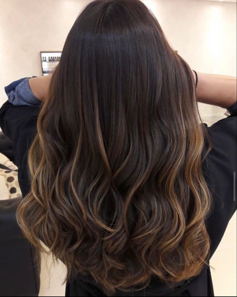 Highlights Bottom Half Of Hair, Chestnut Brown With Highlights, Brown Highlights On Black Hair Straight, Brunette Partial Balayage, Caramel Balayage On Black Hair, Rich Brunette Balayage, Caramel Babylights, Shatush Hair, Caramel Ombre Hair