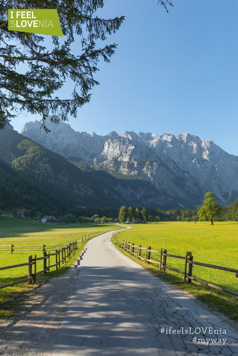 #slovenia Slovenia travel idea: Alpine Slovenia is a place to go for everyone who wants to spend time in nature. Hiking, biking or just plain exploring, you will find something for yourself. #europe #nature #travelideas Europe Travel Outfits Summer, Spend Time In Nature, Europe Nature, Visit Slovenia, Slovenia Travel, Wanderlust Photography, Hiking Photography, Time In Nature, Nature Hiking