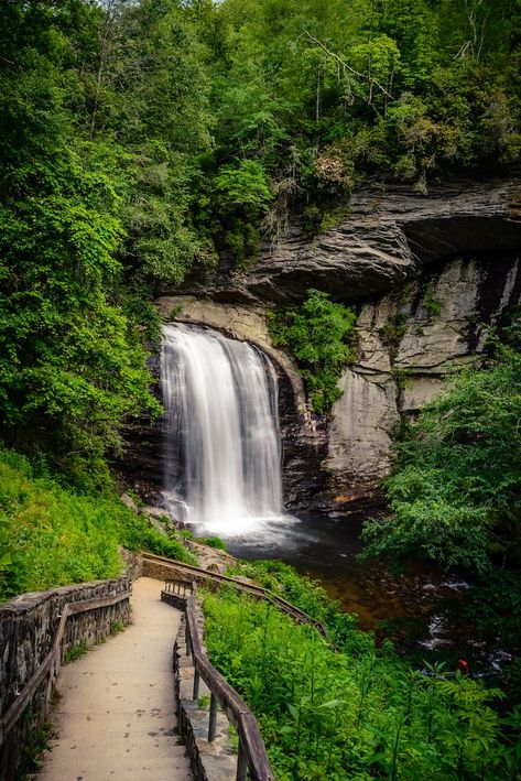 Looking Glass Falls Looking Glass Falls Nc, Asheville Nc Map, Waterfalls Near Asheville Nc, Waterfalls In North Carolina, Asheville Waterfalls, North Carolina Hiking, Nc Waterfalls, Nc Travel, Tennessee Waterfalls