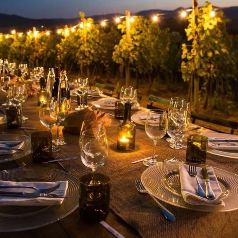 Vineyard Dinner Party, Wine Cave Wedding, Italian Dinner Table, Vineyard Dinner, Zebra Wedding, Vineyard Photography, Italian Vineyard, Italian Themed Parties, Holiday In Italy