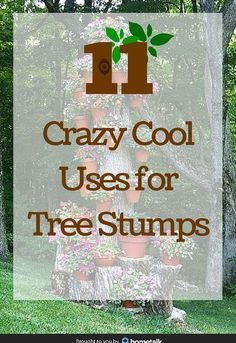 Hollowed Out Tree Stump, What To Do With Tree Stumps Ideas, Wood Stump Ideas Outdoor, Landscaping With Tree Stumps, Wood Stumps Ideas, Stump Ideas Landscaping, Landscaping Around Tree Stumps, What To Do With A Tree Stump, Things To Do With Tree Stumps