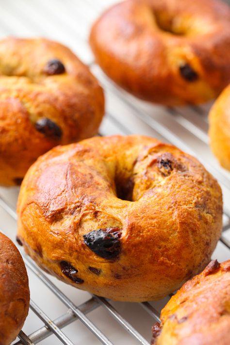 Cinnamon Raisin Bagels, Types Of Bagels, Raisin Bagels, Pumpkin Bagels, Cinnamon Raisin Bagel, Plain Bagel, Mini Bagels, Bagel Bites, Vegan Cream