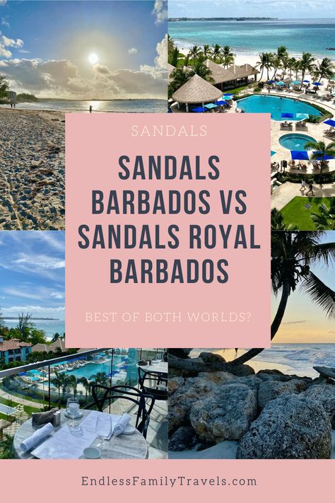 Struggling to decide which Barbados Sandals Resort to book? Let us give you our opinions based on our first-hand experience of both. We offer side-by-side comparisons and excursion options from this blissful St Lawrence Gap location. Wondering which resort wins, Sandals Barbados vs Sandals Royal Barbados? We reveal all the secrets of these wonderful resorts in this review. #Allinclusiveresort #Barbados #SandalsResorts Sandals Barbados, Barbados Resorts, Sandals Resort, Barbados Vacation, Craft Beer Bar, Sandals Resorts, St Lawrence, Rooftop Restaurant, Caribbean Sea