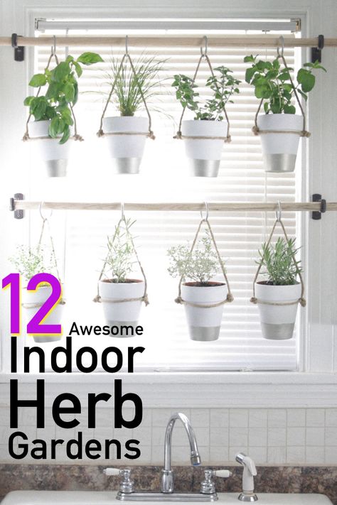 Explore indoor herb garden ideas you can DIY.  Make your fresh herbs a fun decor piece for your windows, walls and window sills.  From indoor herb garden kits to mason jar DIYs you're sure to find something you love! Hang Plants, Kebun Herbal, Taman Diy, Container Herb Garden, Traditional Curtains, Hanging Herb Garden, Hanging Herbs, Tanaman Pot, Jardim Diy