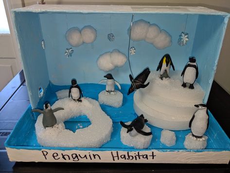 Penguin Diorama, Shoe Box Diorama, Shoebox Diorama, Homework Inspiration, Penguins Project, Ecology Projects, Diorama Kids, Bear Habitat, Habitats Projects