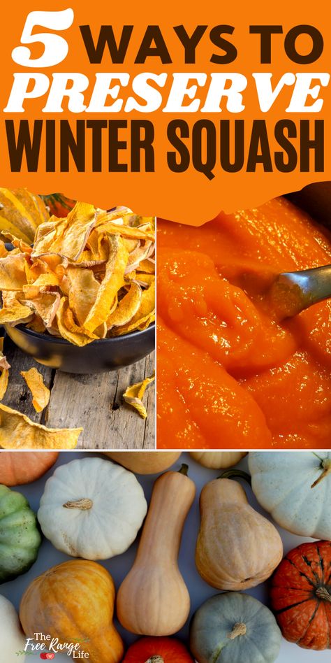 Canning Squash, Freezing Pumpkin, Canned Squash, Winter Squash Varieties, Winter Squash Recipes, Buttercup Squash, Fall Dec, Squash Varieties, Home Canning Recipes