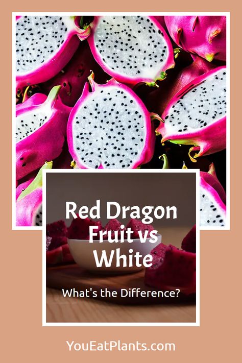 Beneath its scaly and prickly exterior, the dragon fruit hides a sweet and juicy secret just waiting to be discovered. This fruit, native to Central and South America, comes in two varieties: the vibrant red and the soft-shelled white. Each variety offers its own unique flavor and nutrition profile, so why not explore the differences between the two? Visit post to find out how you can use dragon fruit in your everyday diet, and how it can provide helpful benefits to your health. Dragon Fruit Tea Recipe, Dragon Fruit Jam Recipe, White Dragon Fruit, Dragon Fruit Juice, Dragonfruit Recipes, Fruit Jam Recipes, Mango Benefits, Red Dragon Fruit, Fruit Cupcakes