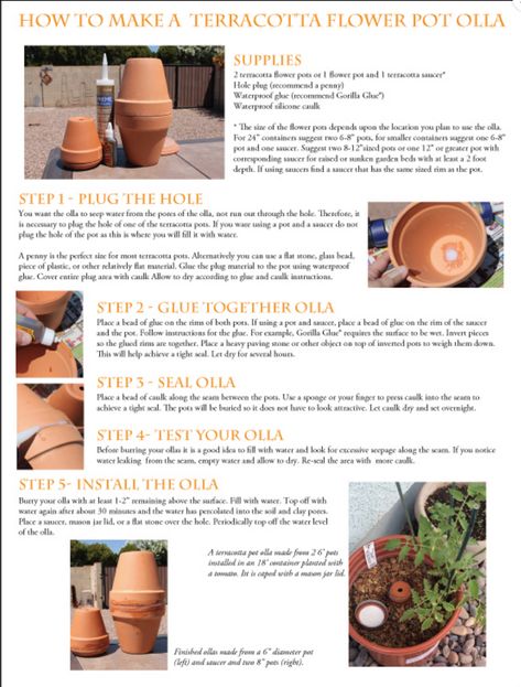 Olla Irrigation, Olla Watering, Plant Waterer, نباتات منزلية, Terracotta Flower Pots, Garden Irrigation, Veggie Garden, Landscaping Plants, Water Plants