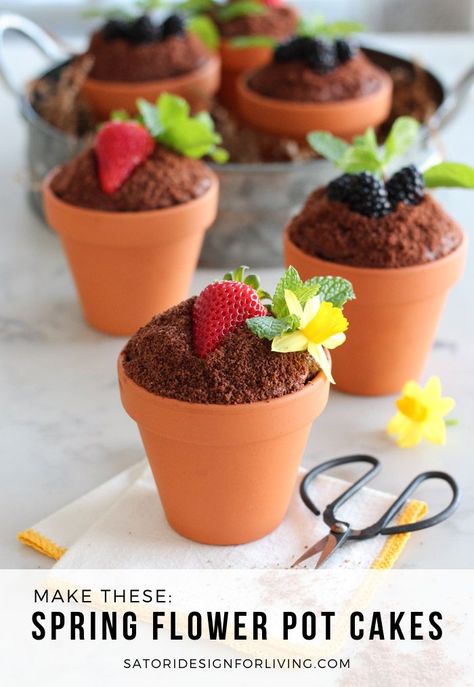 These little flower pot cakes are a fun and tasty dessert idea for spring or Easter. Made with your favourite chocolate cake, then topped with frosting, crumbs, fresh fruit, mint and flowers. Learn how to make these adorable desserts! #springdesserts #easterdesserts #flowerpotcake Adorable Desserts, Flower Pot Cake, Pot Cake, Chocolate Crumbs, Pot Cakes, Tasty Dessert, Spring Desserts, Chocolate Flowers, Baking Project