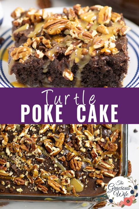 This indulgent Turtle Poke Cake takes chocolate cake to a whole new level with a simple chocolate cake mix filled with caramel and sweetened condensed milk and topped with the absolute best pour-on chocolate frosting to fill in all of the poke-holes. Top it off with tons of chopped pecans, mini chocolate chips, and caramel and chocolate sauce. Simple Poke Cake, Turtle Dump Cake Recipes, Poke Cake With Sweetened Condensed Milk, Caramel Turtle Poke Cake, Poke Cake Recipes Condensed Milk, Turtle Poke Cake Recipe, Chocolate Turtle Poke Cake, Chocolate Caramel Poke Cake, Turtle Poke Cake