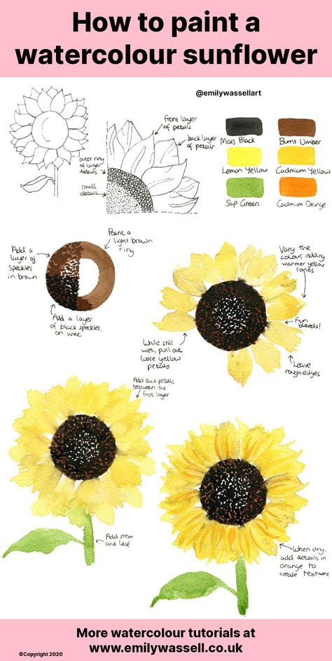 How to Paint A Sunflower in Watercolour - Emily Wassell Paint A Sunflower, Hippie Painting Ideas, Canvas Aesthetic Painting, Sunflower Watercolor Painting, Painting Hacks, Funny Painting, Learn Watercolor Painting, Summer Sunflower, Watercolor Beginner