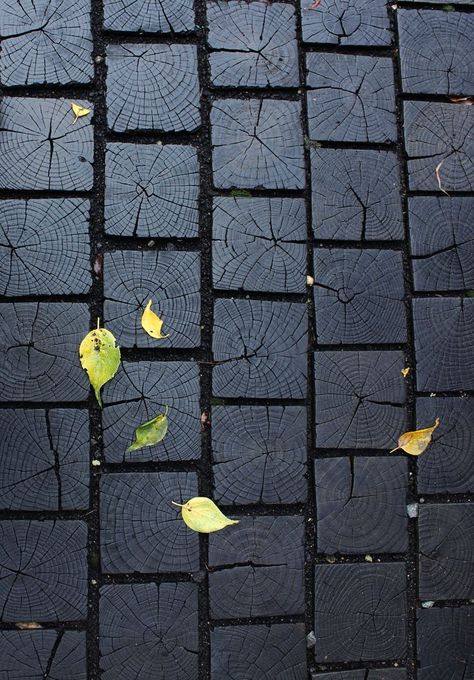 Using a variety of ground coverings in our gardens not only enables us to break up the space, but also to navigate it more easily. Wood Walkway, Desert Willow, Willow House, Charred Wood, Shou Sugi Ban, التصميم الخارجي للمنزل, Inspirational Images, Tiny Homes, Garden Paths