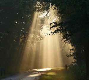 Lighted Path Everything Is Illuminated, Whispers In The Dark, Hearing Gods Voice, Christian Videos, Light Of The World, Verse Of The Day, Zen Garden, Christian Inspiration, Love Images