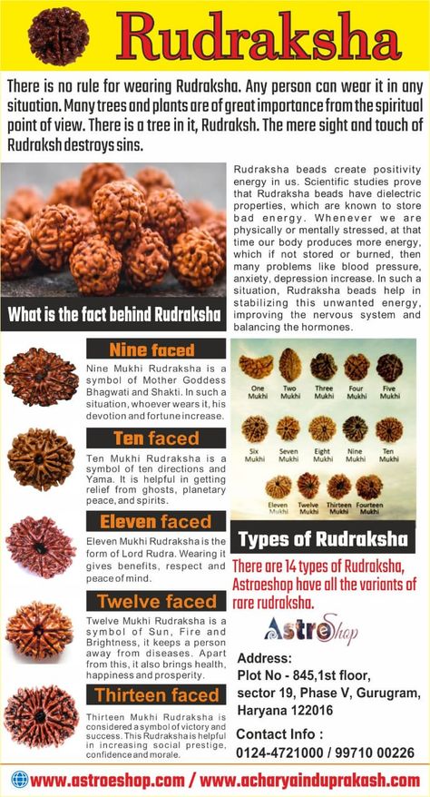 All about Rudraksha Gauri Shankar, Hindu Vedas, Medical Astrology, Indian History Facts, Pictures Of Shiva, Rudraksha Mala, Rudraksha Beads, Energy Healing Spirituality, Lord Vishnu Wallpapers