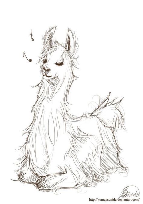 Llama Cards, Alpaca Drawing, Llama Drawing, Llama Pictures, Llama Painting, Llama Art, Llama Arts, Cute Llama, Animal Sketches