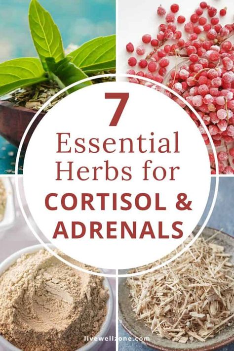 Struggling with the effects of high cortisol and stress (such as cortisol belly or meno belly)? Adaptogens are a category of hormone balance supplements that can be very helpful. Learn how they can support adrenal function and improve various signs of hormonal imbalance. Herbs For High Cortisol, Cortisol Foods, Meno Belly, Cortisol Blocker, Hormone Balance Supplements, Cortisol Supplements, Cortisol Diet, Reducing Cortisol, Cortisol Imbalance