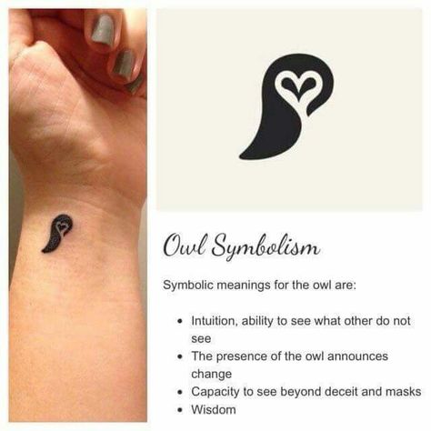 Cute owl tattoo....love the meanings of owl lore. Tiny Owl Tattoo, Owl Symbol, Cute Tattoos With Meaning, Native Quotes, Female Tattoos, Small Tattoos With Meaning, Men Tattoos, Inspiration Tattoos, Tattoos Geometric