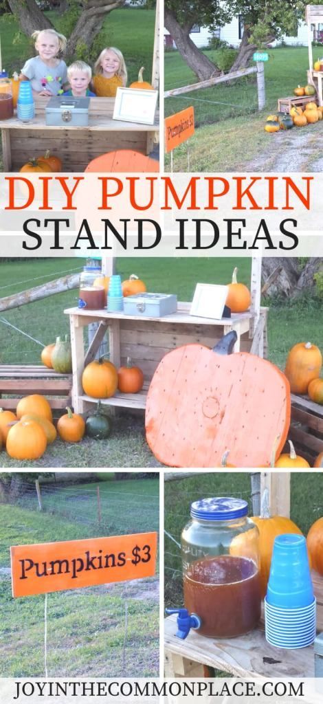 DIY Pumpkin Stand Ideas: Find out a few tips to sell pumpkins on the roadside! #pumpkins #pumpkinstand #sellpumpkins #roadside #roadsidestand #pumpkinpatch #diy #selling Pumpkin Stand Diy, Roadside Stand, Pumpkin Stand, Diy Playroom, Pumpkin Stands, Halloween Sprinkles, Pumpkin Display, Autumn Activities For Kids, Pumpkin Farm